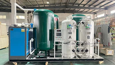 PSA Oxygen Generation System - 2