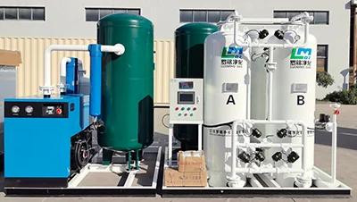 PSA Oxygen Generation System - 4
